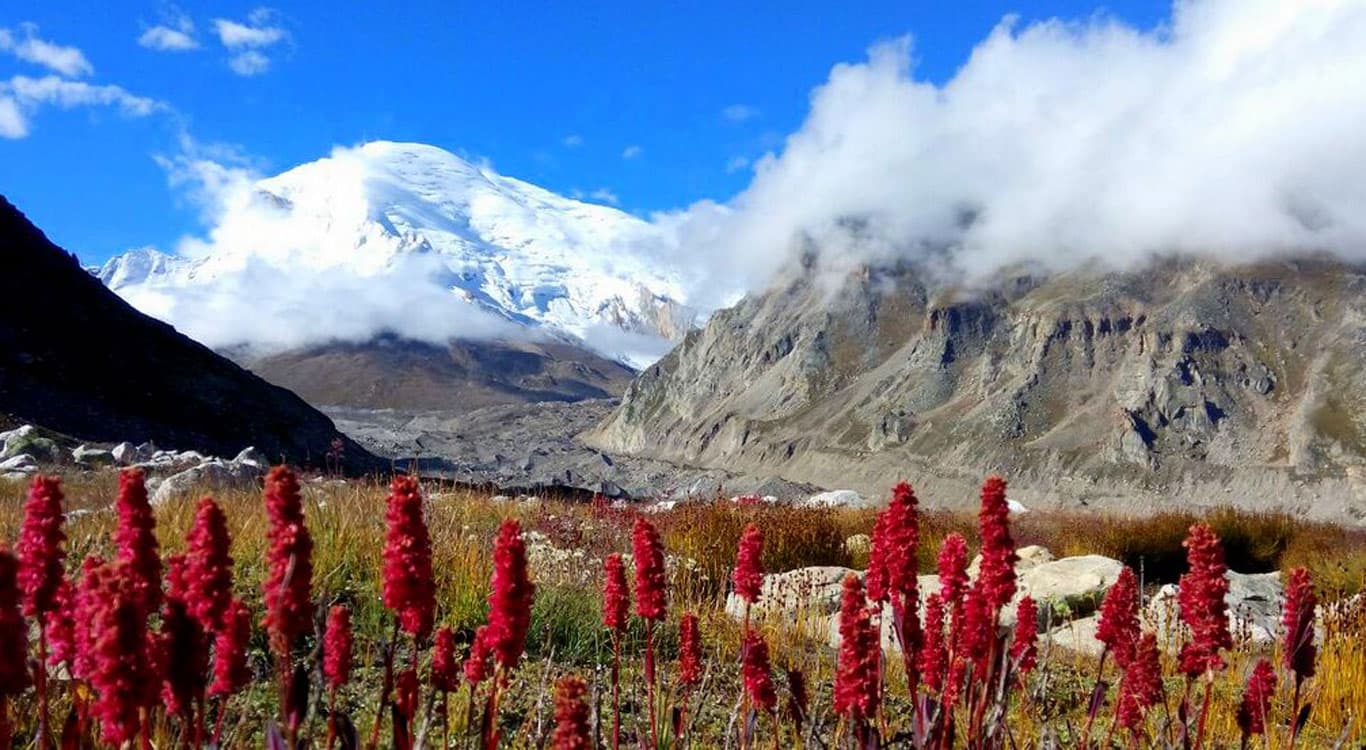 Nandanvan glacier trek with close-up view of Bhagirathi mountain group